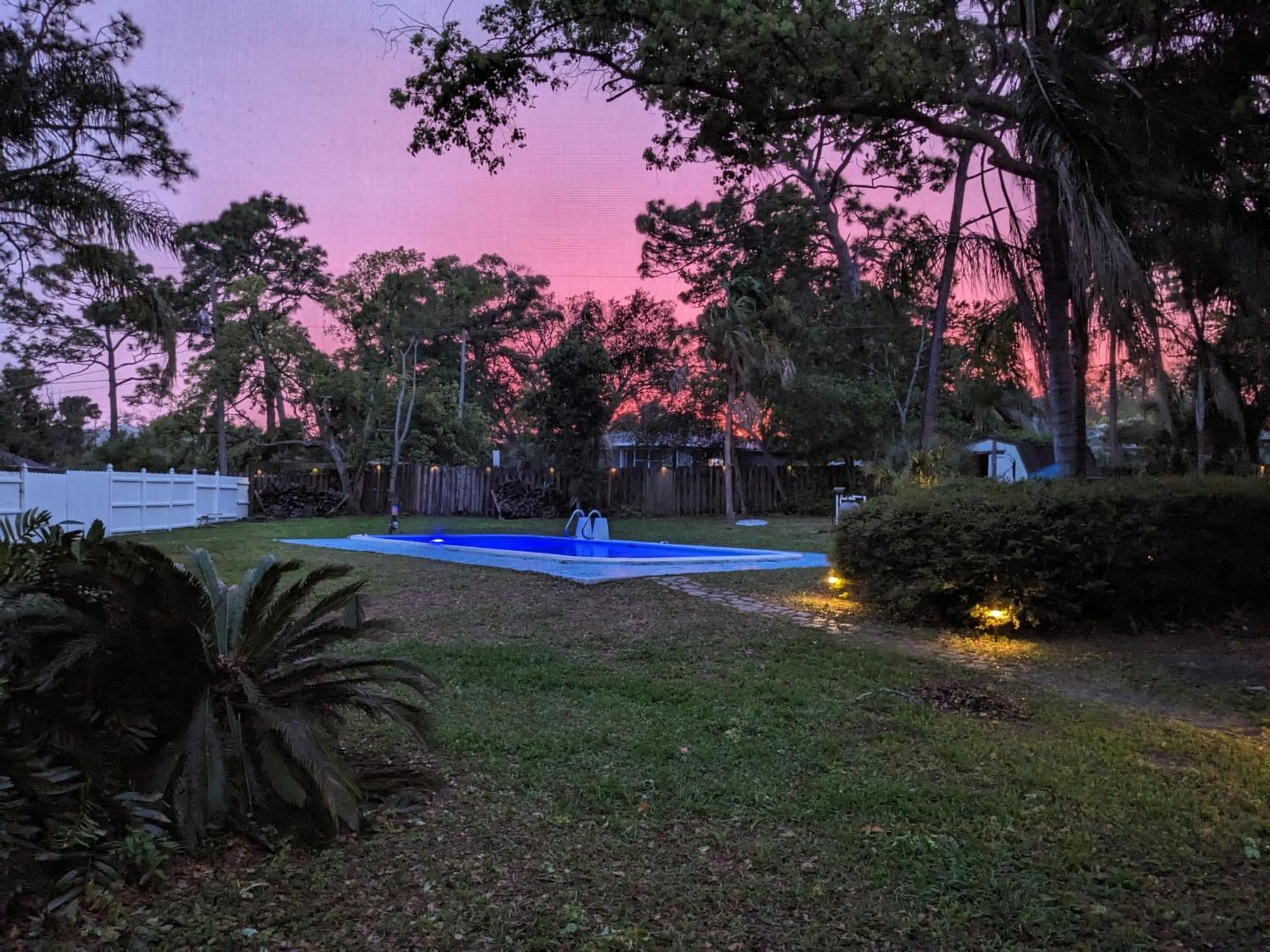Executive Pool Homestay Tampa